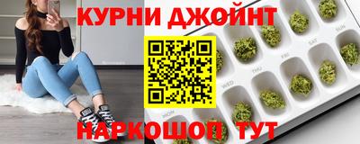 индика Кингисепп